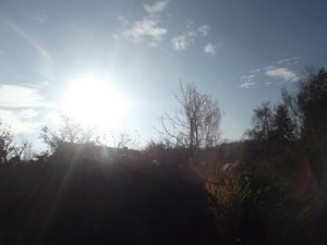 DSCF5552