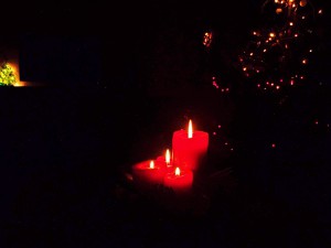DSCF5771