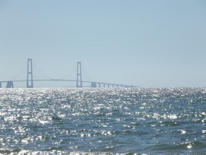 DSCF8498